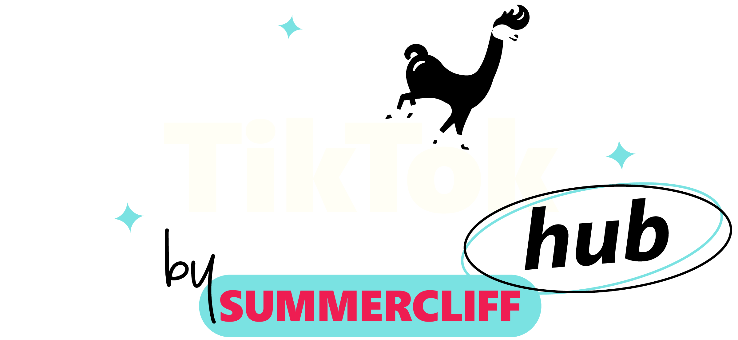 TikTok Hub by Sumemrcliff