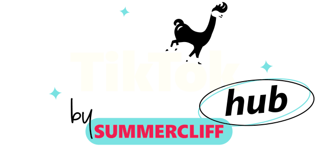 TikTok Hub by Sumemrcliff - Contact us
